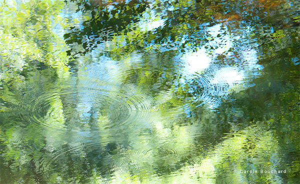 Water Rings - Westford MA Pond by Carole Bouchard