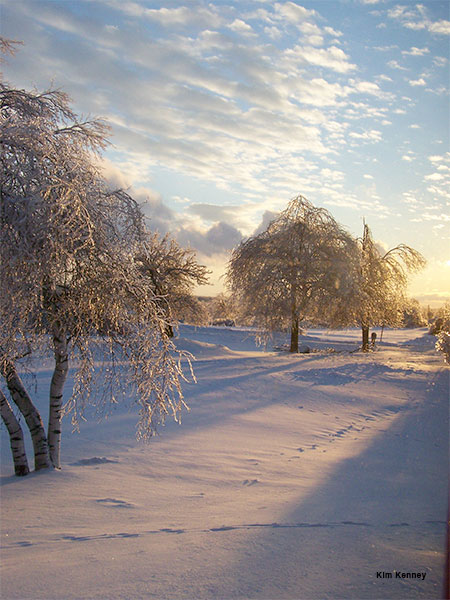 2013 Northern New York Ice Storm I by Kim Kenney